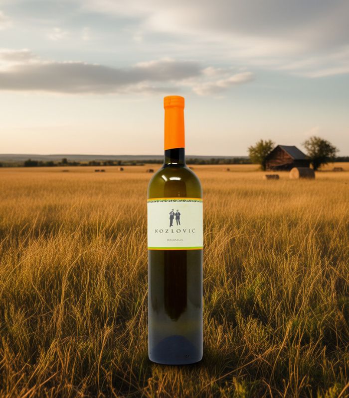 Kozlovic Malvazija Weißwein teranino 1